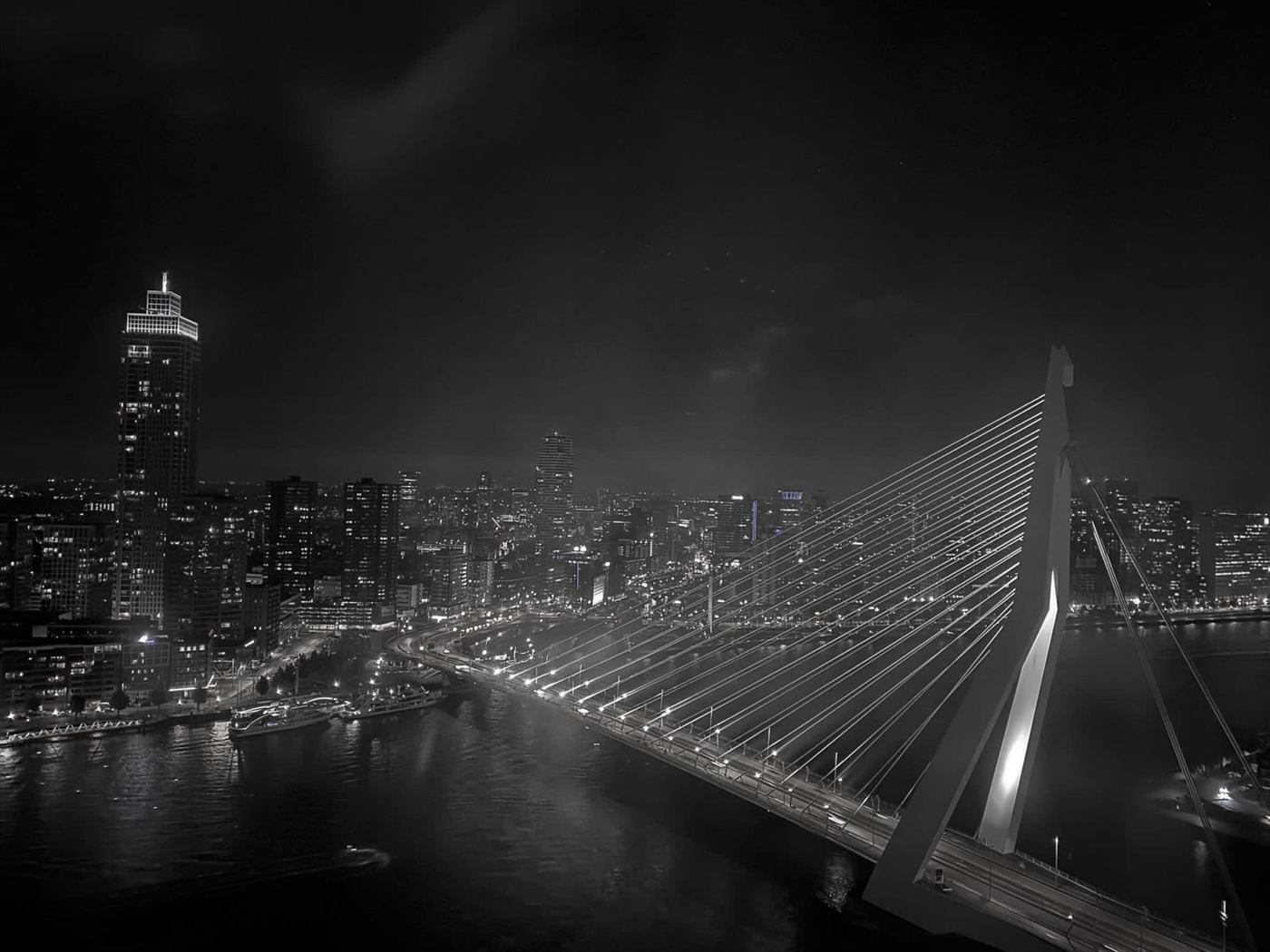 De Erasmusbrug in Rotterdam bij nacht